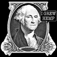 I grew Hemp